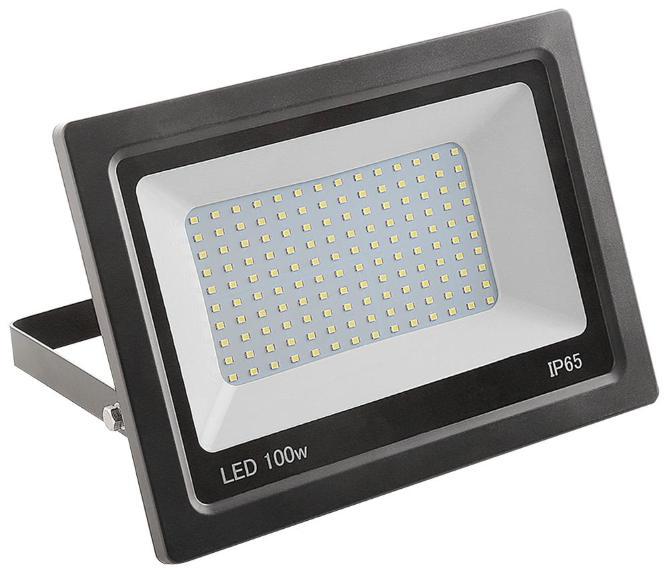 100W LED Floodlight - PRO ELEC