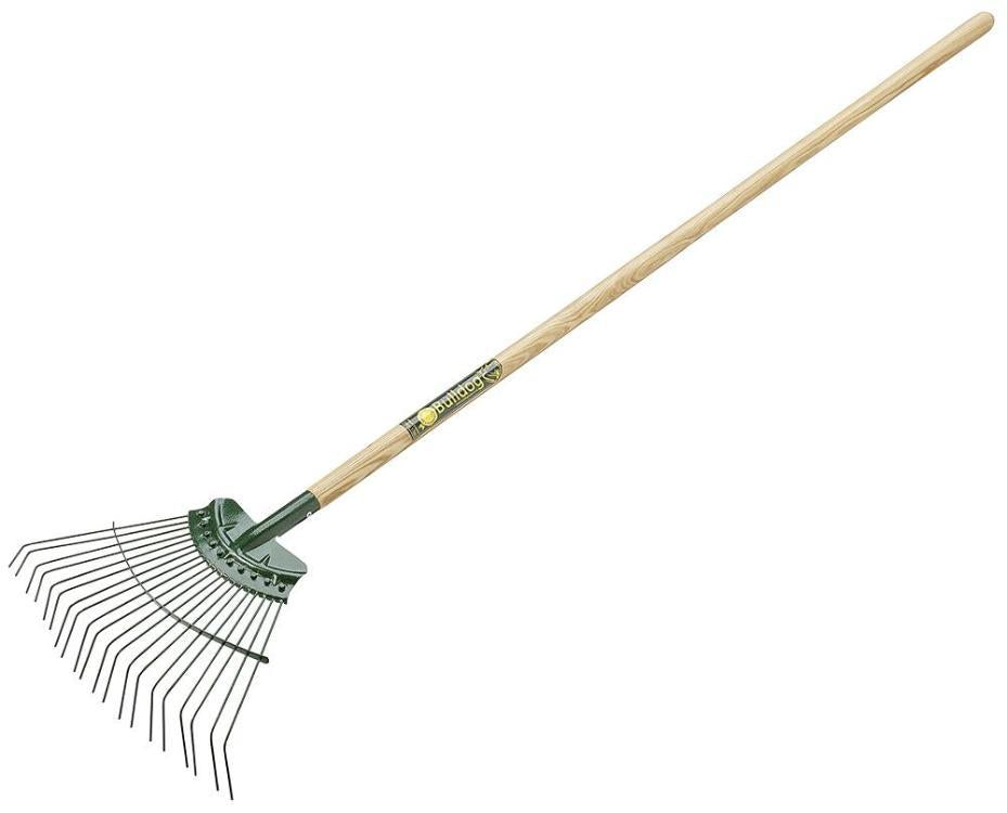 Springbok Lawn Rake with 20 Tines and Straight Hardwood Handle - BULLDOG TOOLS