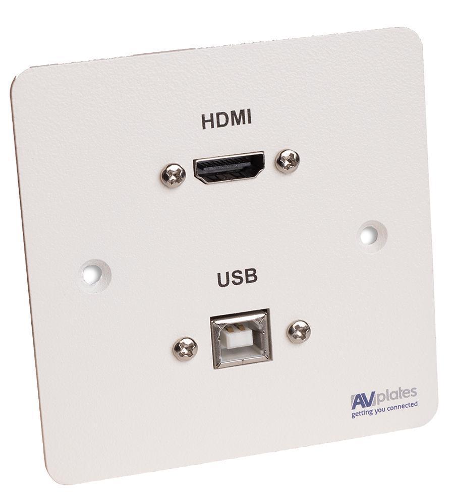 1 Gang HDMI/USB-B Wall Plate - AVP337
