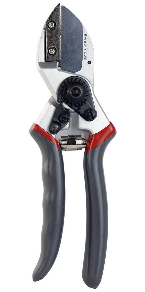 Professional Anvil Secateurs - 70100463