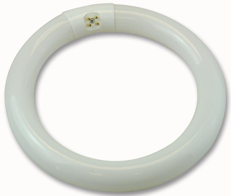 CROMPTON LIGHTING - CIR22SPCW - 210MM 22W CIRC FLU CW G10Q (4PIN) LIGHT BULB