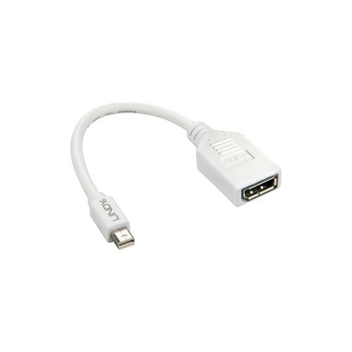 0.20M Mini Dp To Dp Adapter Cable