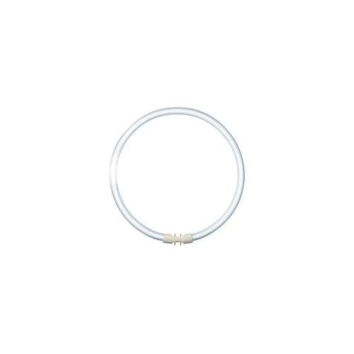 40TL5C840 Philips Lighting Lamp Cfl Tl5 Circular 40W/840
