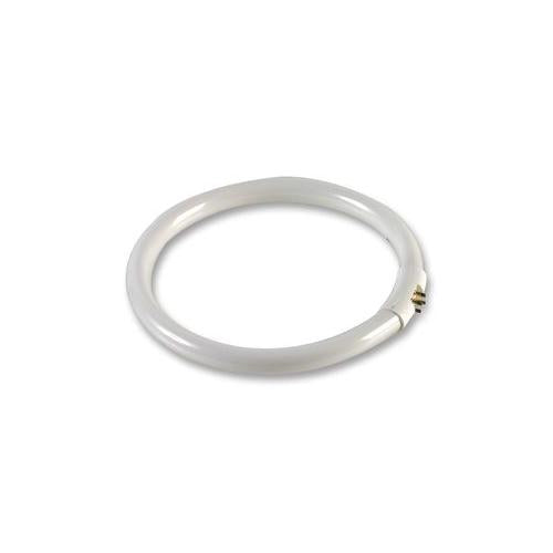 MODELCRAFT - PLA8066/T - LAMP, CIRCULAR, FLUORESCENT, 22W, 6400K LIGHT BULB