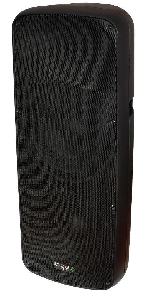 1000W Portable Speaker with Wireless Microphones - IBIZA SOUND