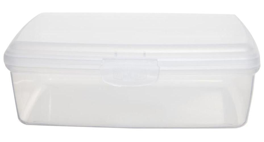 0.5L Clear Hinged Allstore Storage Box - 60mm x 110mm x 150mm - WHITEFURZE