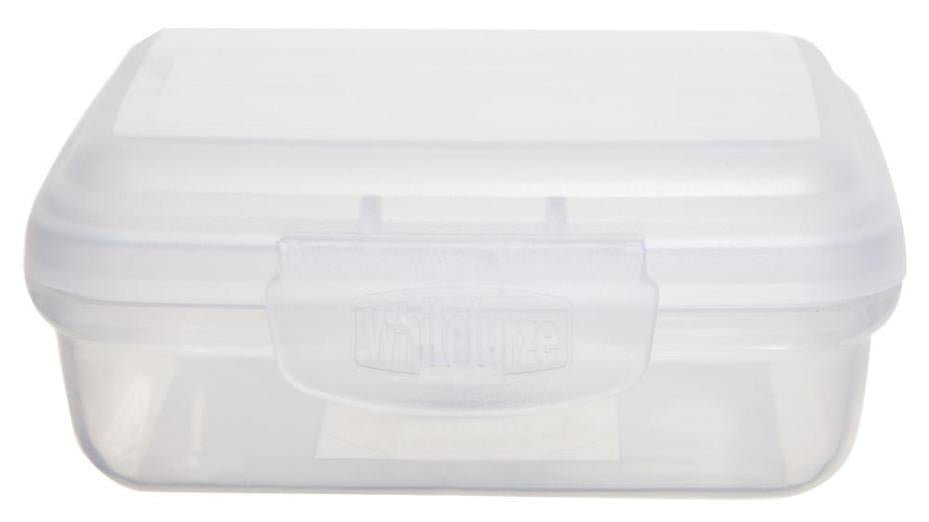 0.15L Clear Hinged Allstore Storage Box - 40mm x 80mm x 100mm - WHITEFURZE