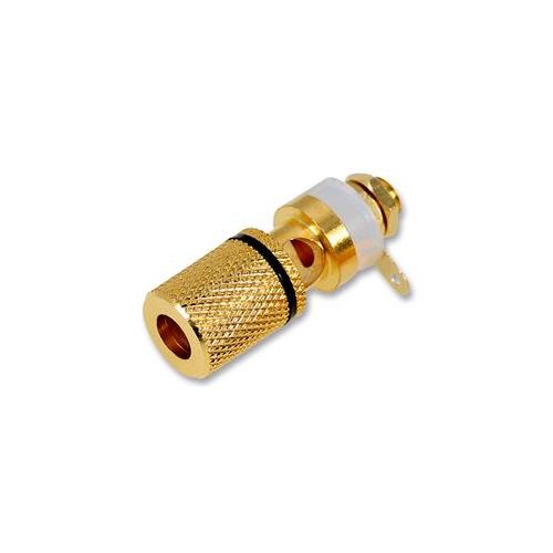 PRO SIGNAL - PSG03019 - TERMINAL POST, GOLD, BLACK , M6
