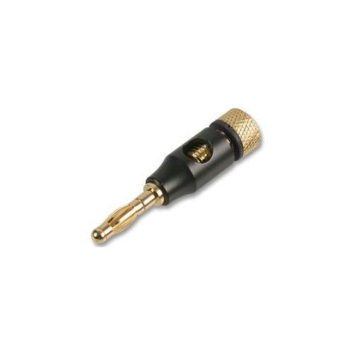 PRO SIGNAL - PSG03604 - 4MM PLUG, BLACK/GOLD, BLACK