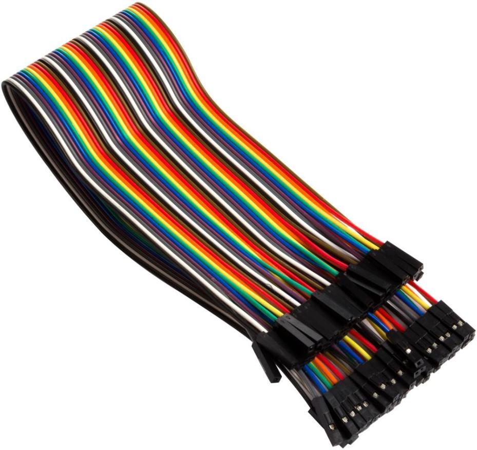 40-Pin Female to Female Flat Jumper Cable, 300mm - WPA415