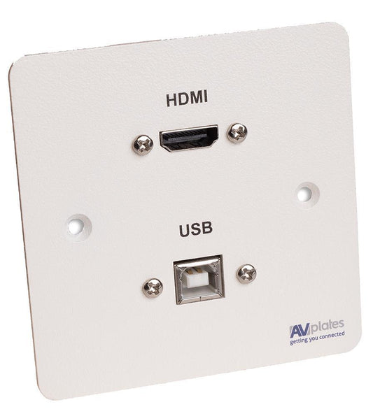 1 Gang HDMI/USB-B Wall Plate - AVP337