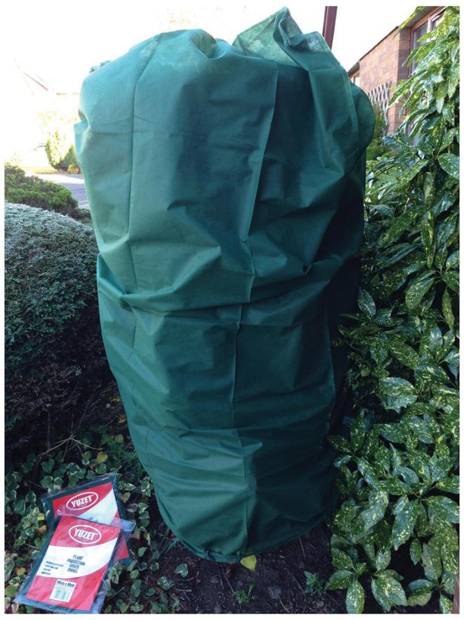 60cm x 85cm Frost / Insect Protection Fleece Plant Cover - 1841