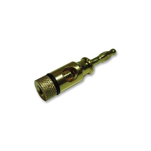 PRO SIGNAL - PSG02043 - 4MM PLUG, GOLD/BLACK