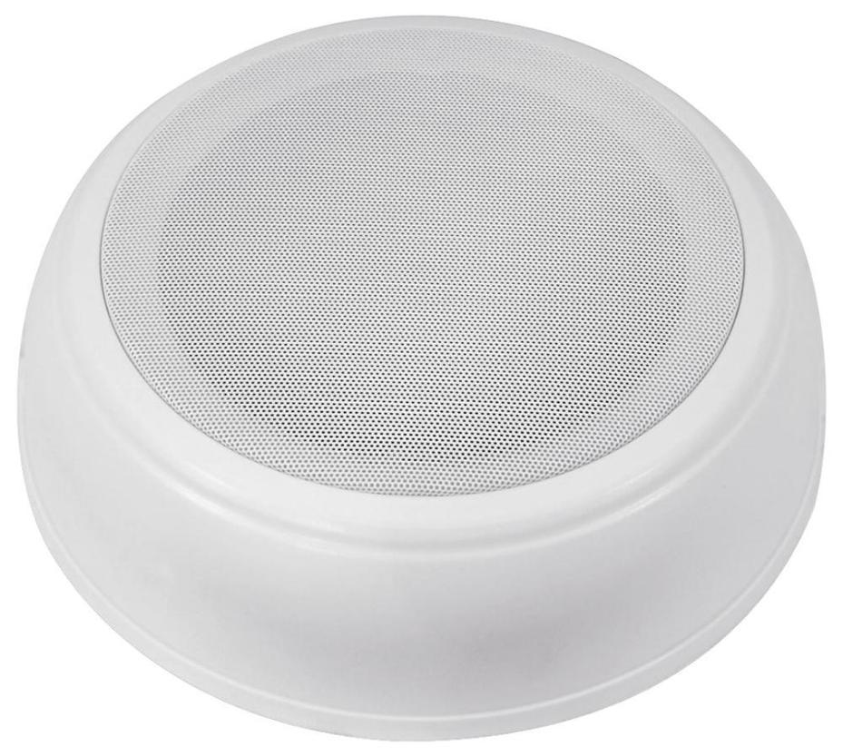 6.5" SPEAKER 10W 100V - DAL-2