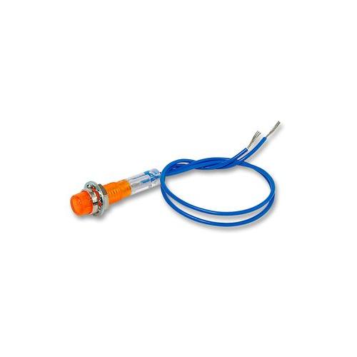 515205AMBER125V Camdenboss Neon Indicator, Amber