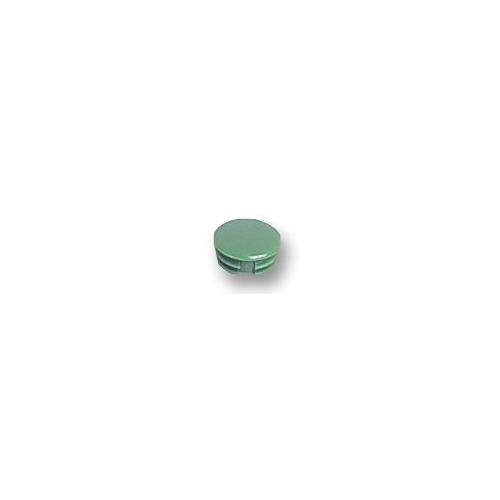 040-3060 Elma Cap , Green