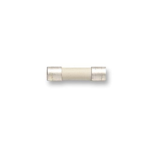 70-001-40 2A Siba Fuse, Quick Blow, 2A