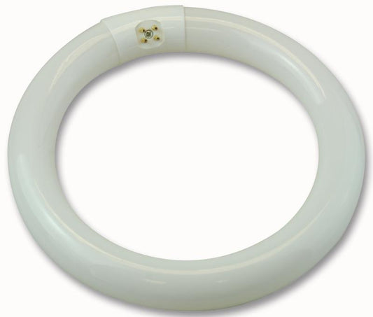 CROMPTON LIGHTING - CIR22SPCW - 210MM 22W CIRC FLU CW G10Q (4PIN) LIGHT BULB