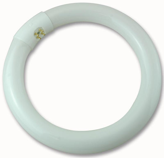 CROMPTON LIGHTING - CIR22SPWW - 210MM 22W CIRC FLU WW G10Q (4PIN) LIGHT BULB