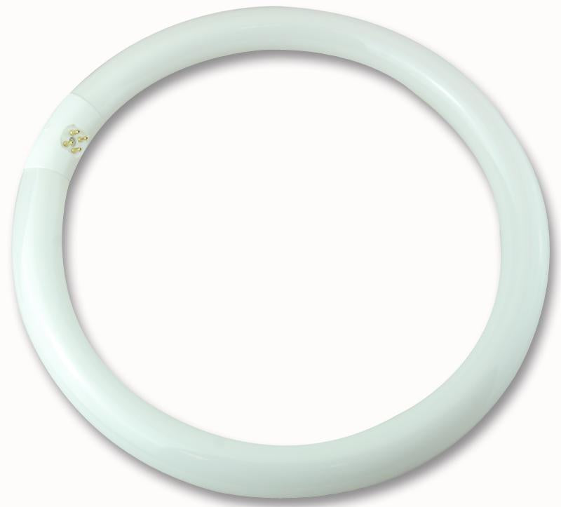 CROMPTON LIGHTING - CIR32SPCW - 300MM 32W CIRC FLU CW G10Q (4PIN) LIGHT BULB