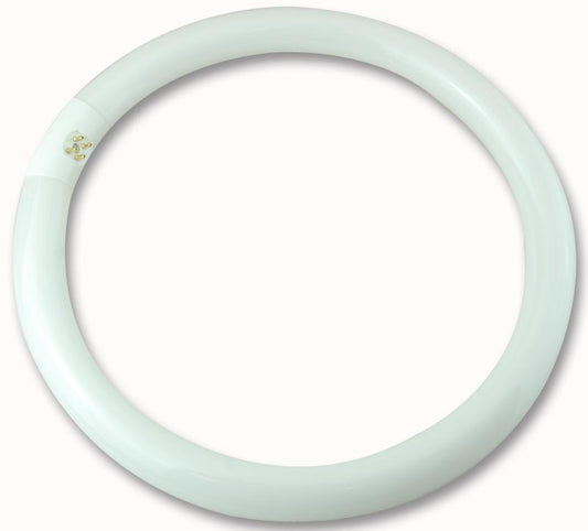 CROMPTON LIGHTING - CIR32SPCW - 300MM 32W CIRC FLU CW G10Q (4PIN) LIGHT BULB