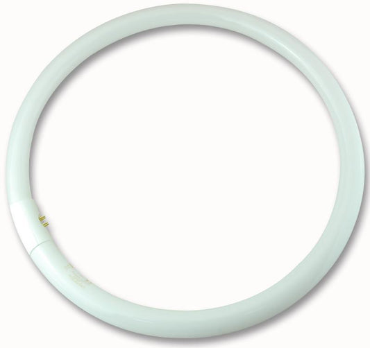 CROMPTON LIGHTING - CIR40SPCW - 400MM 40W CIRC FLU CW G10Q (4PIN) LIGHT BULB